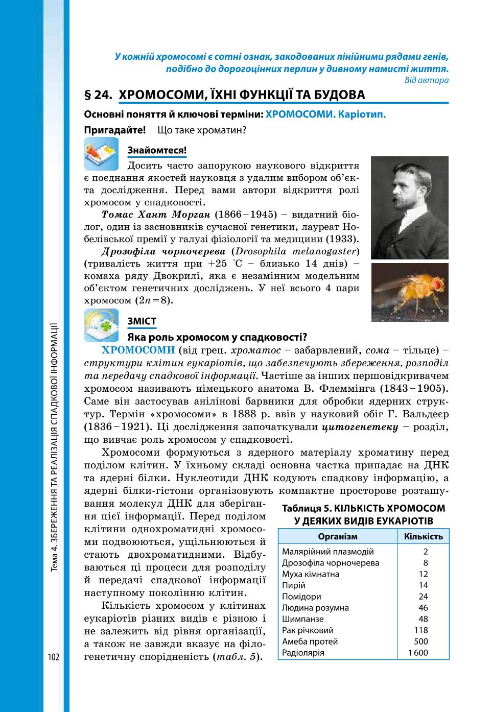 Мініатюра 102