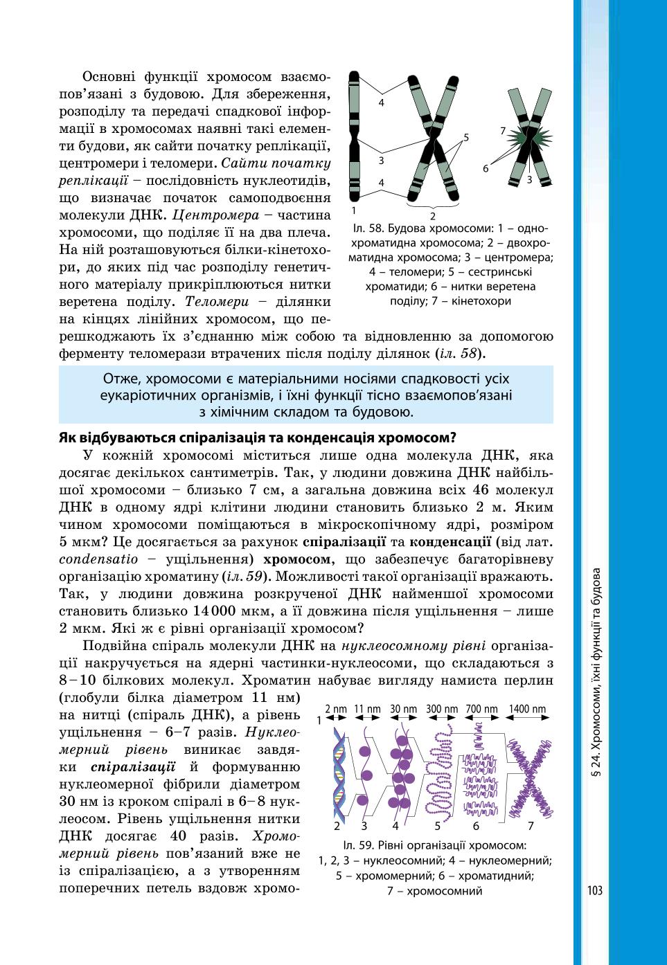 Мініатюра 103