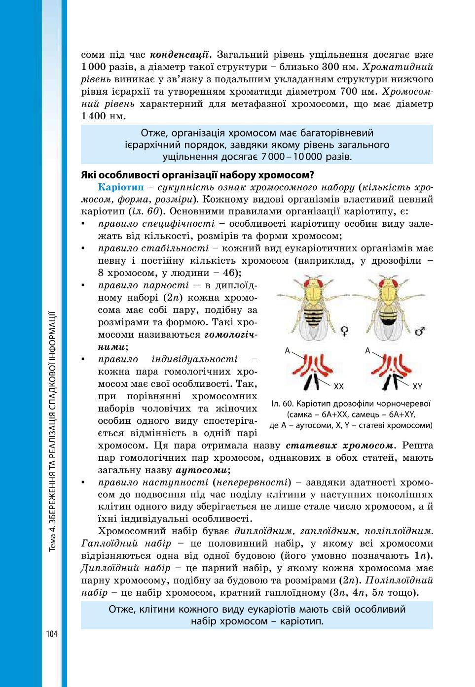 Мініатюра 104
