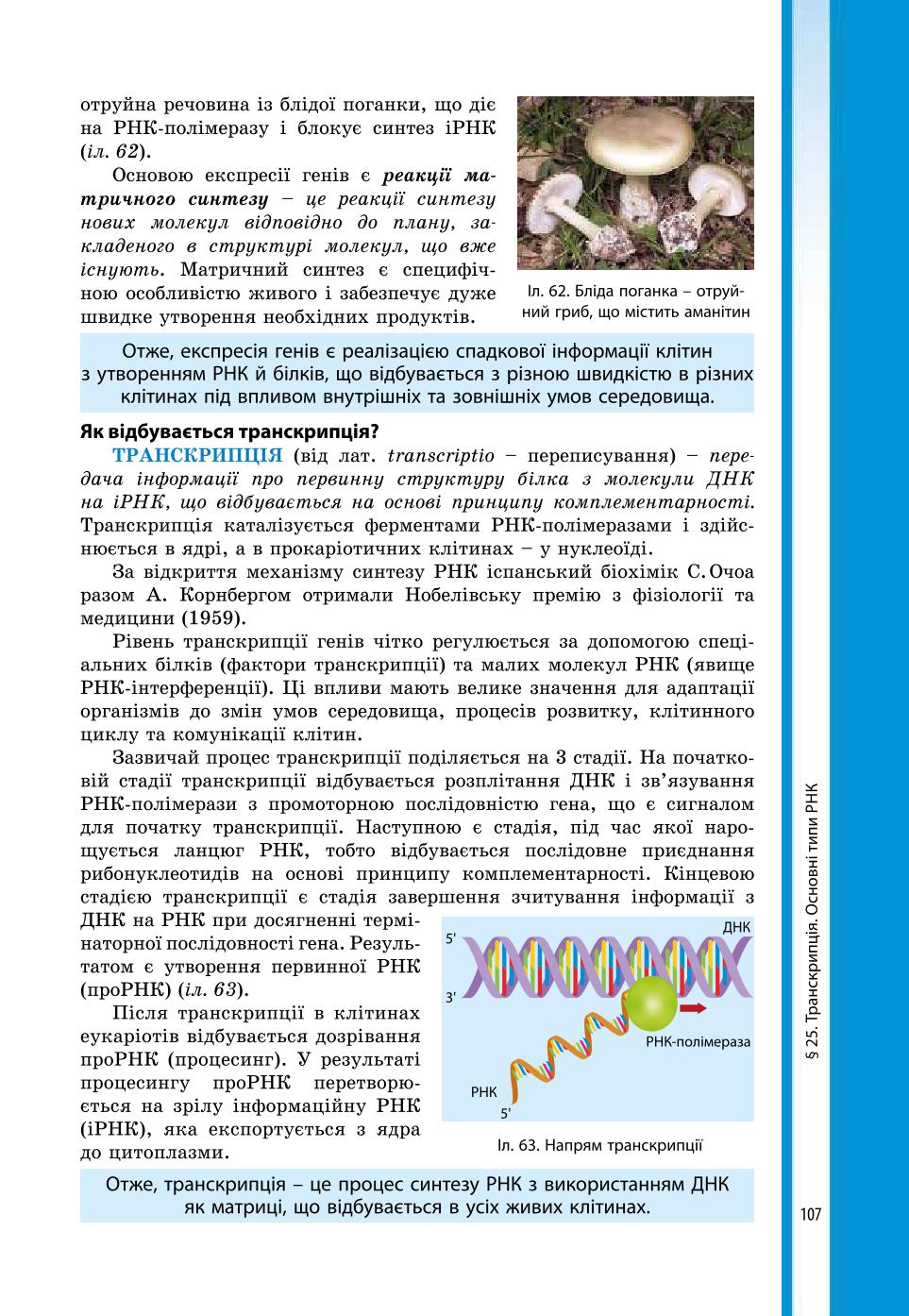 Мініатюра 107