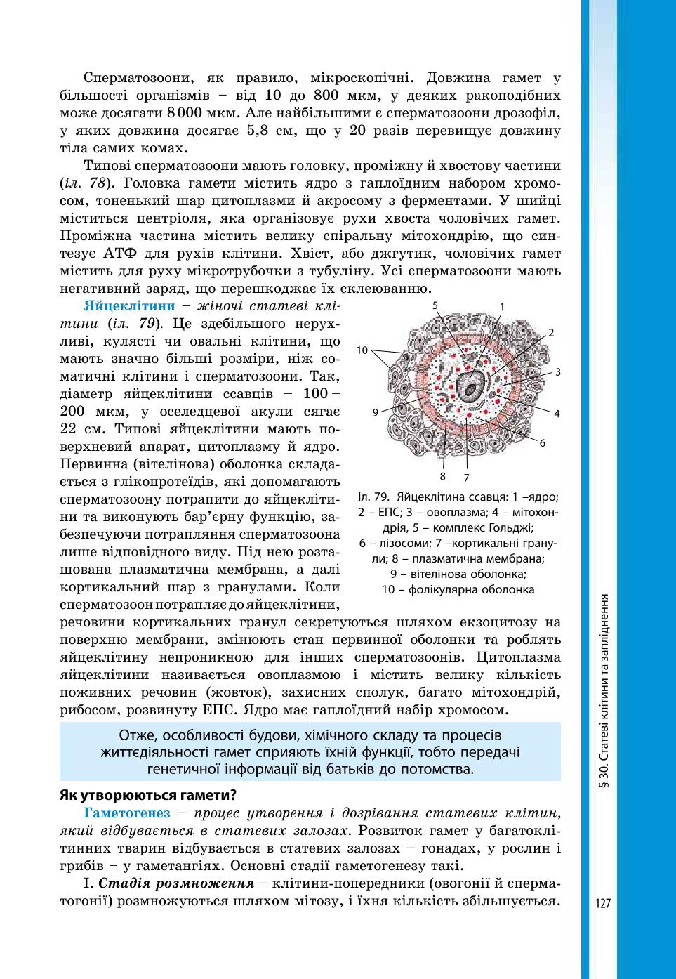 Мініатюра 127