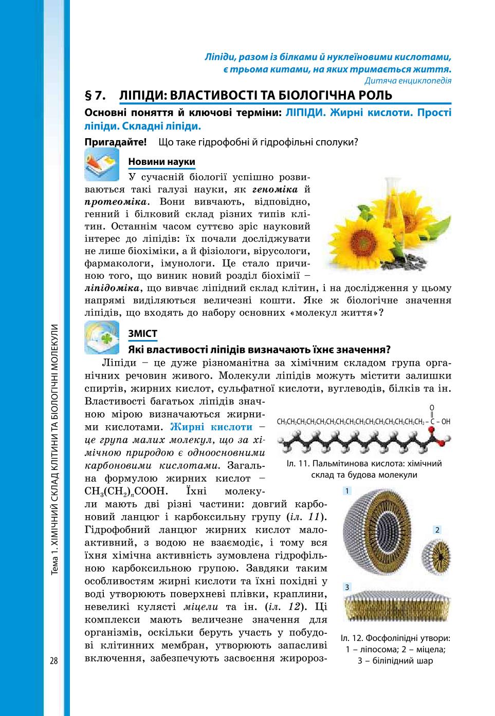 Мініатюра 28