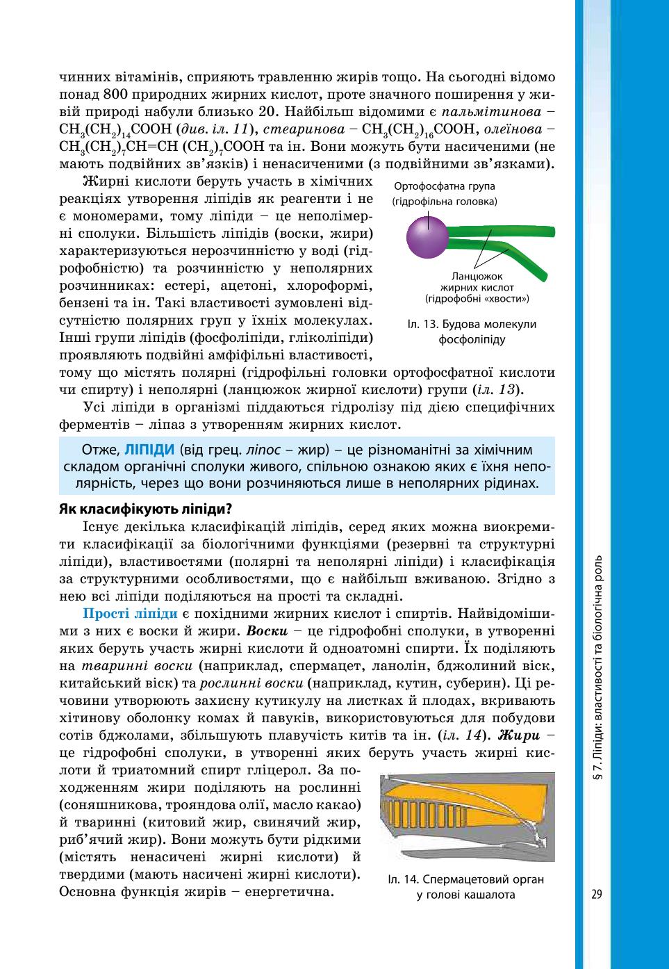 Мініатюра 29