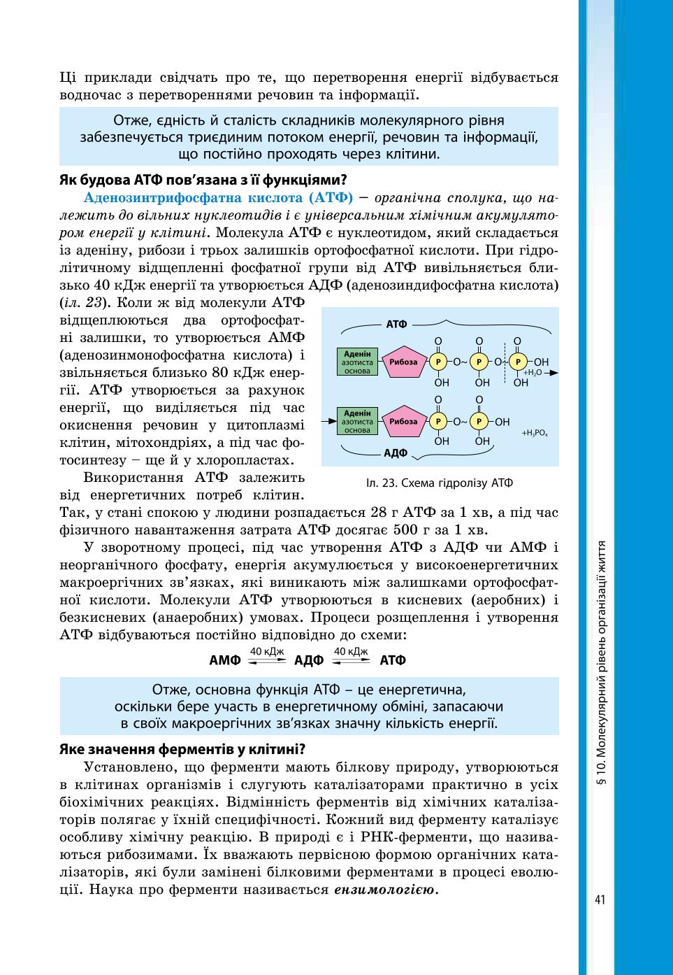 Мініатюра 41