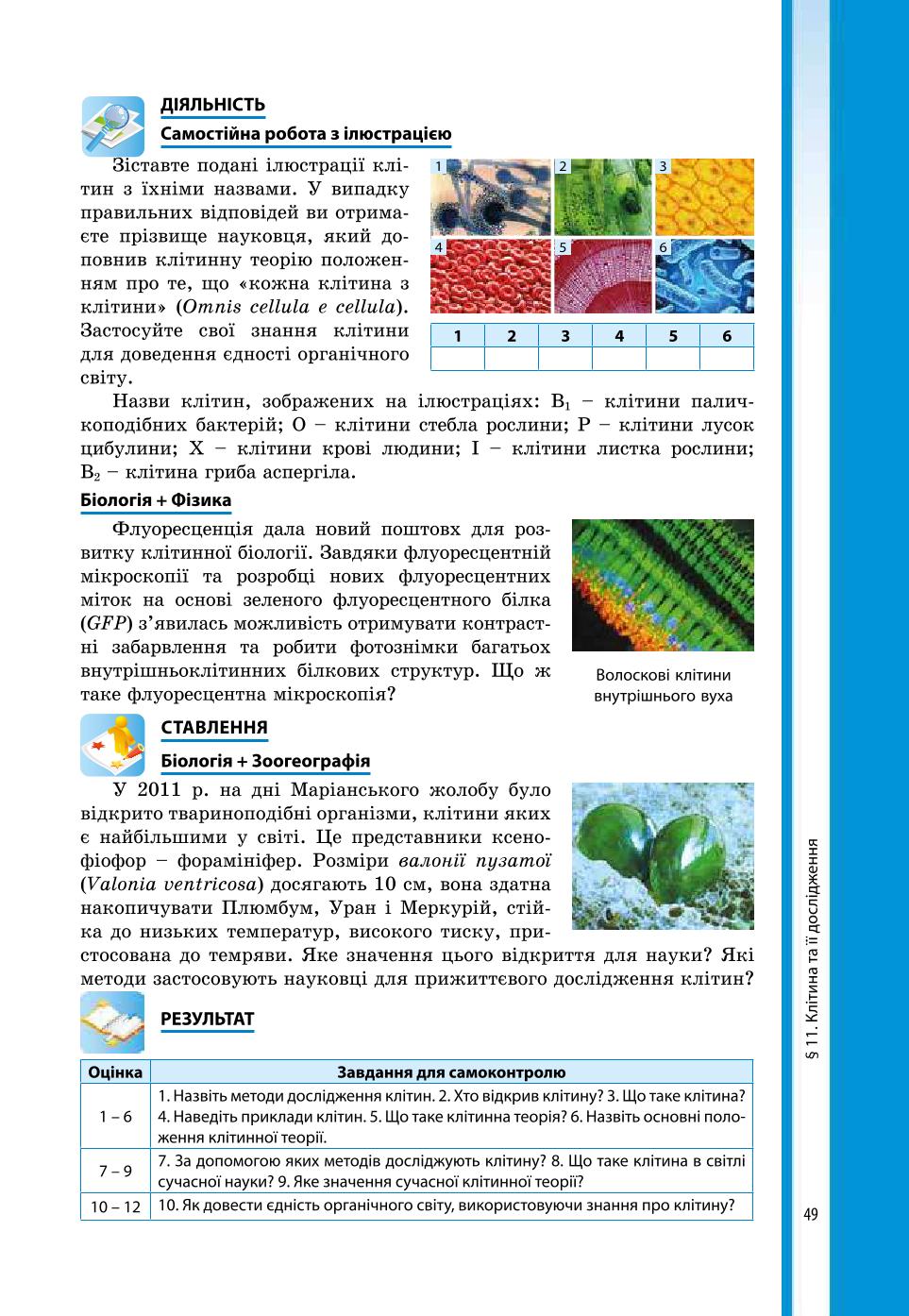 Мініатюра 49