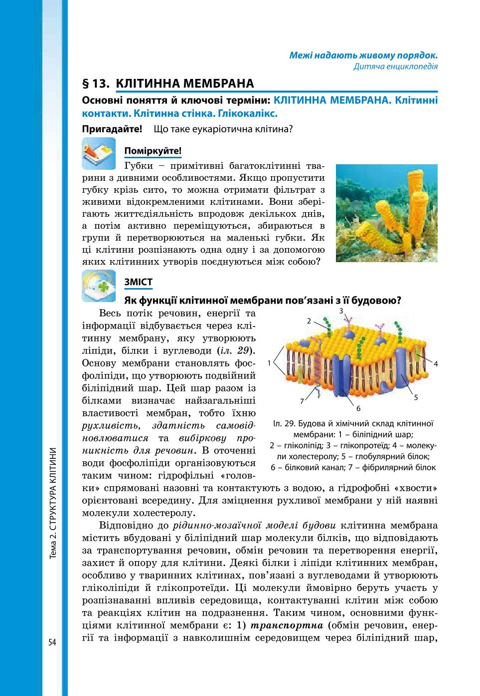 Мініатюра 54