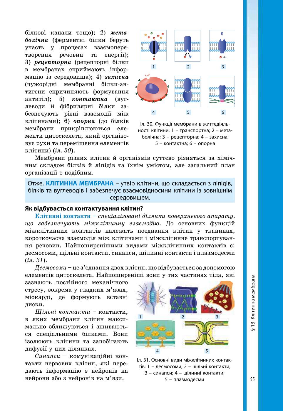 Мініатюра 55