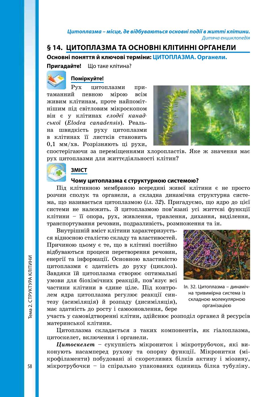 Мініатюра 58