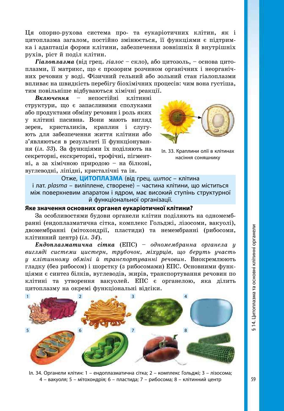 Мініатюра 59