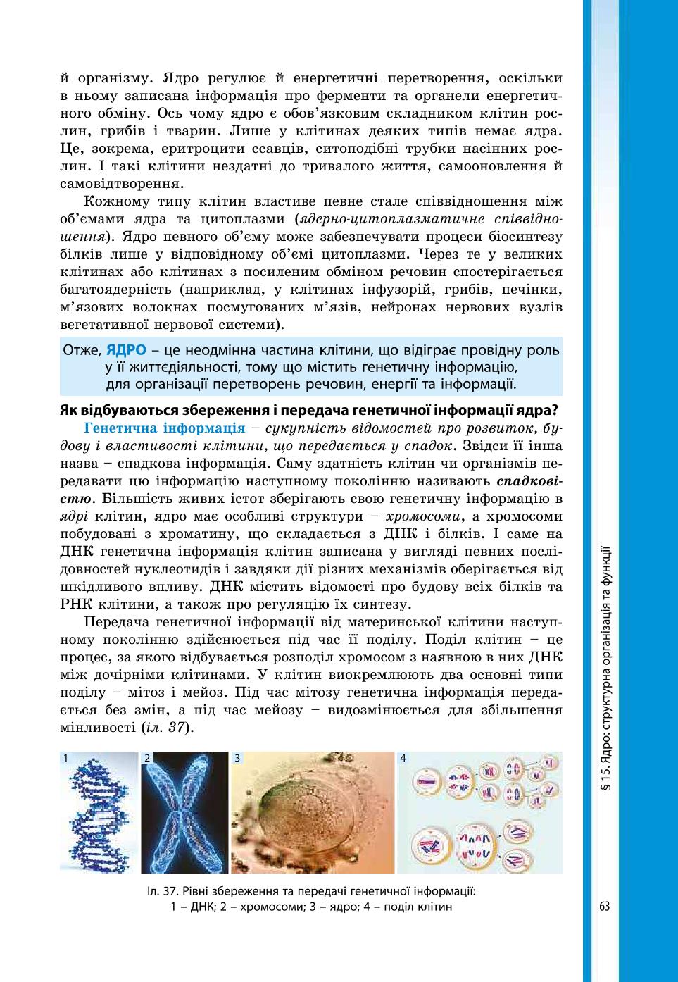 Мініатюра 63