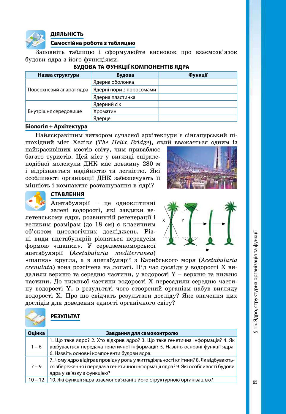 Мініатюра 65