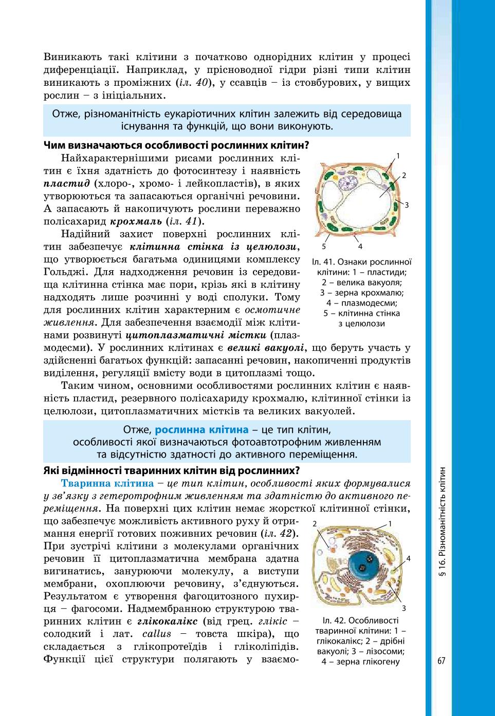 Мініатюра 67