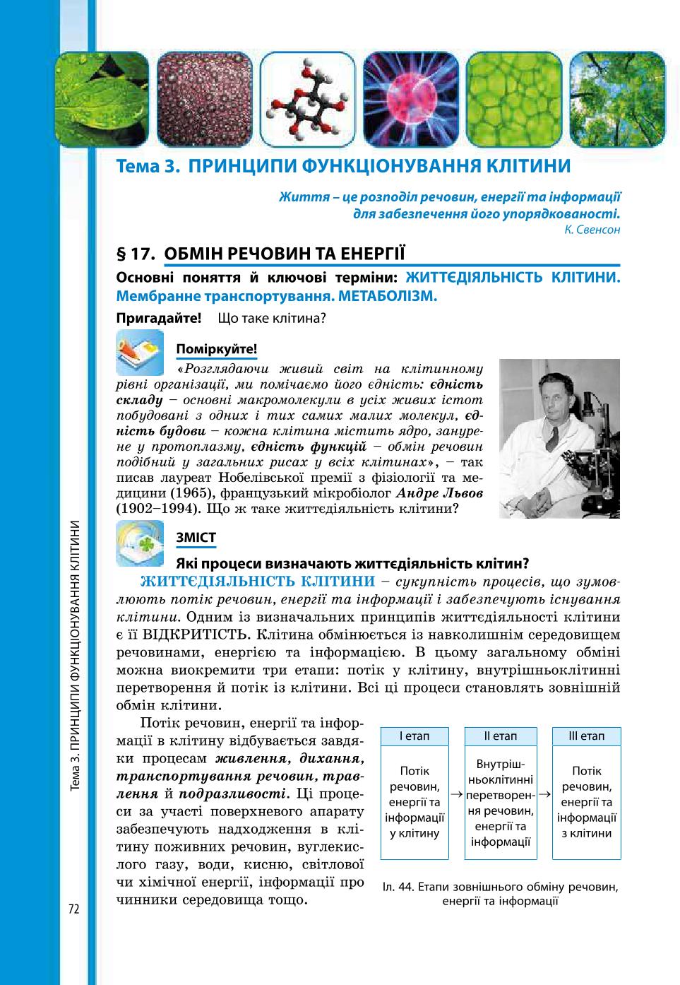 Мініатюра 72