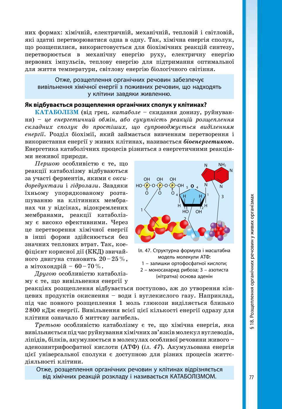 Мініатюра 77