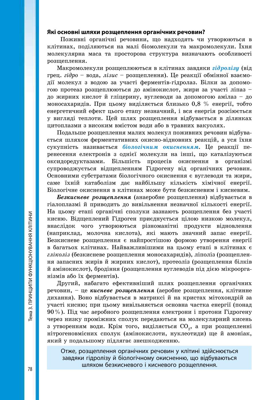 Мініатюра 78