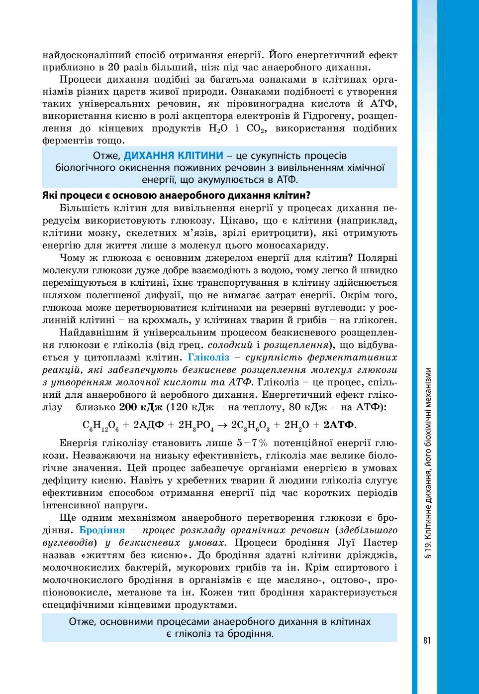 Мініатюра 81