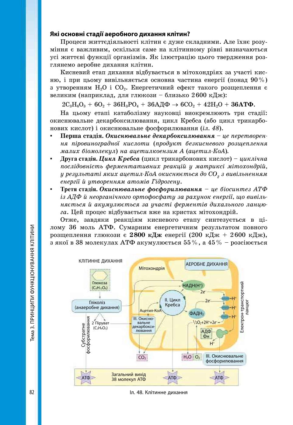 Мініатюра 82