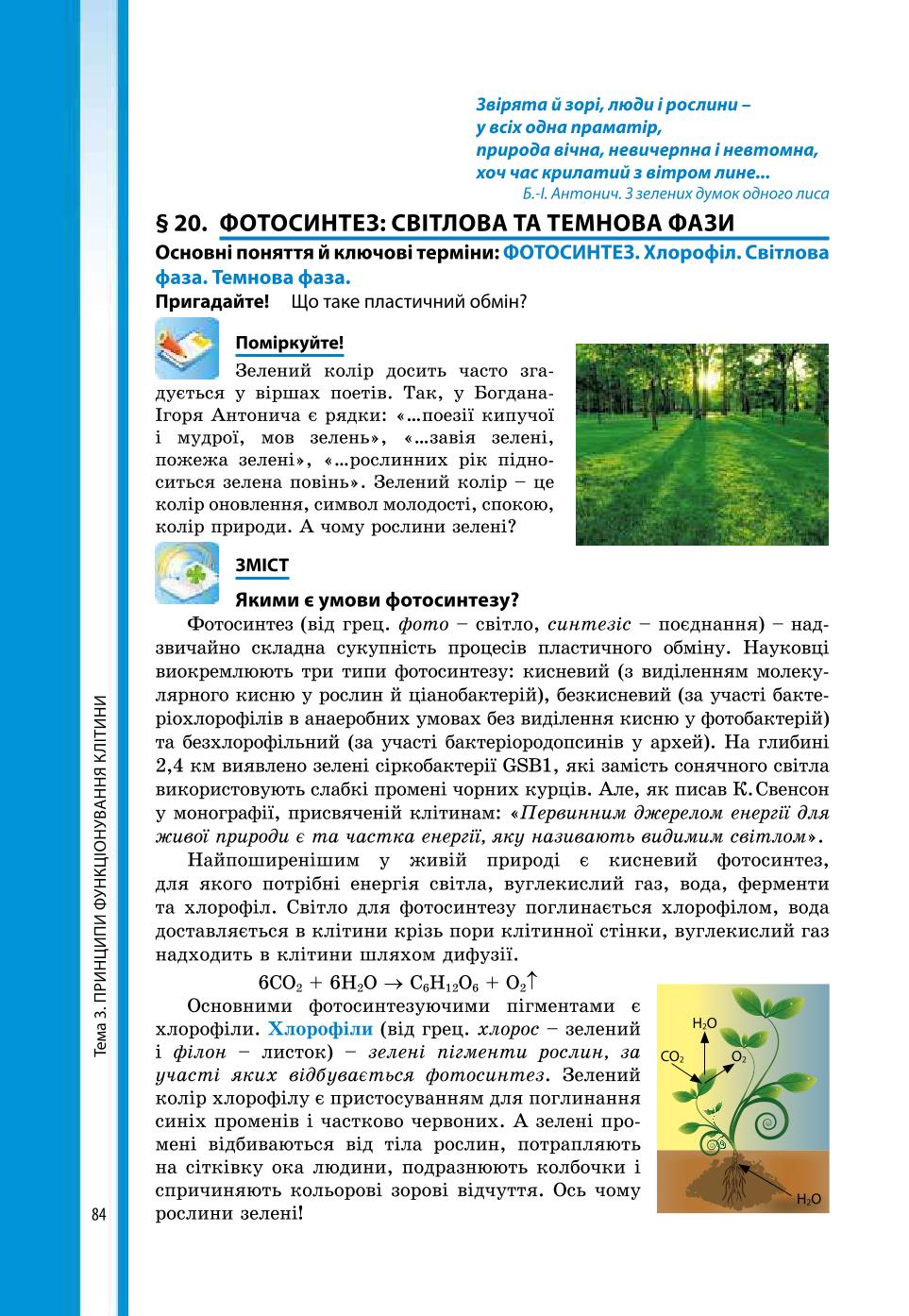 Мініатюра 84