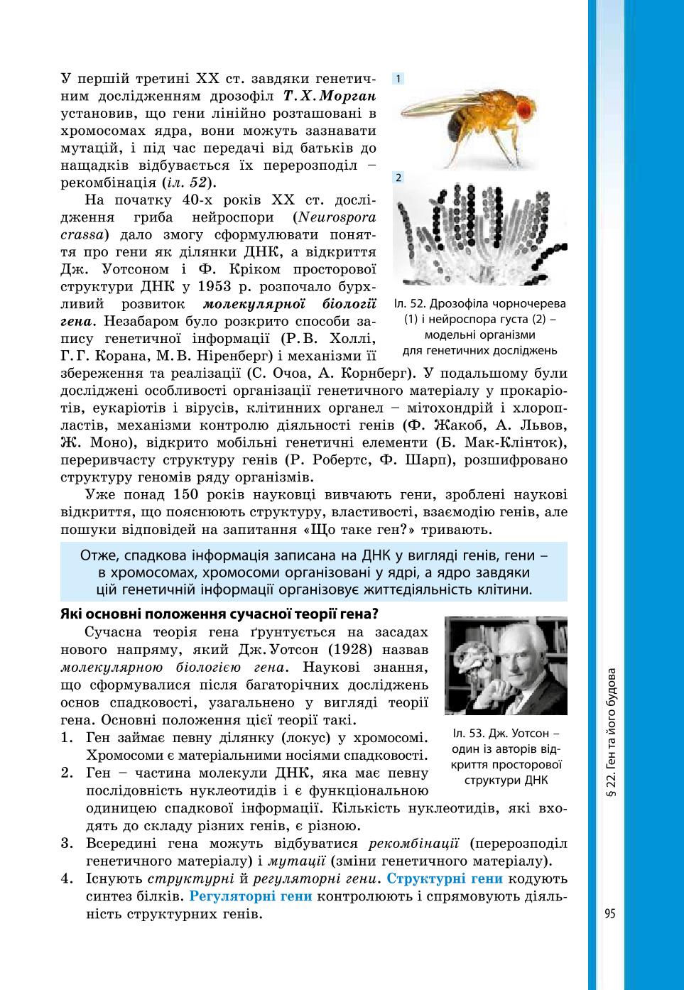 Мініатюра 95