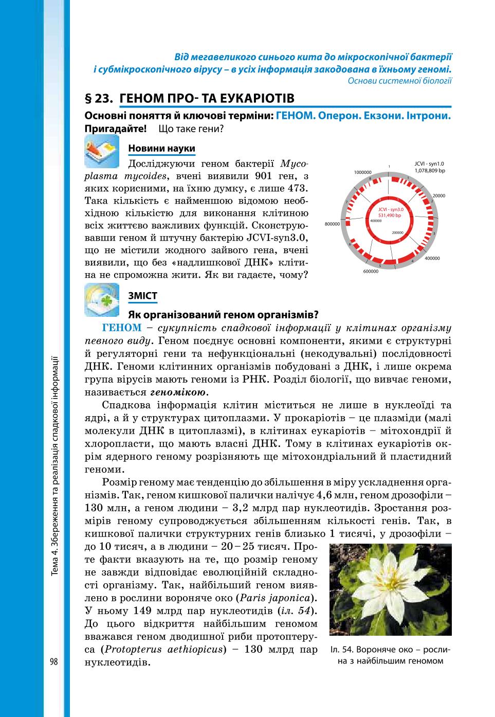Мініатюра 98