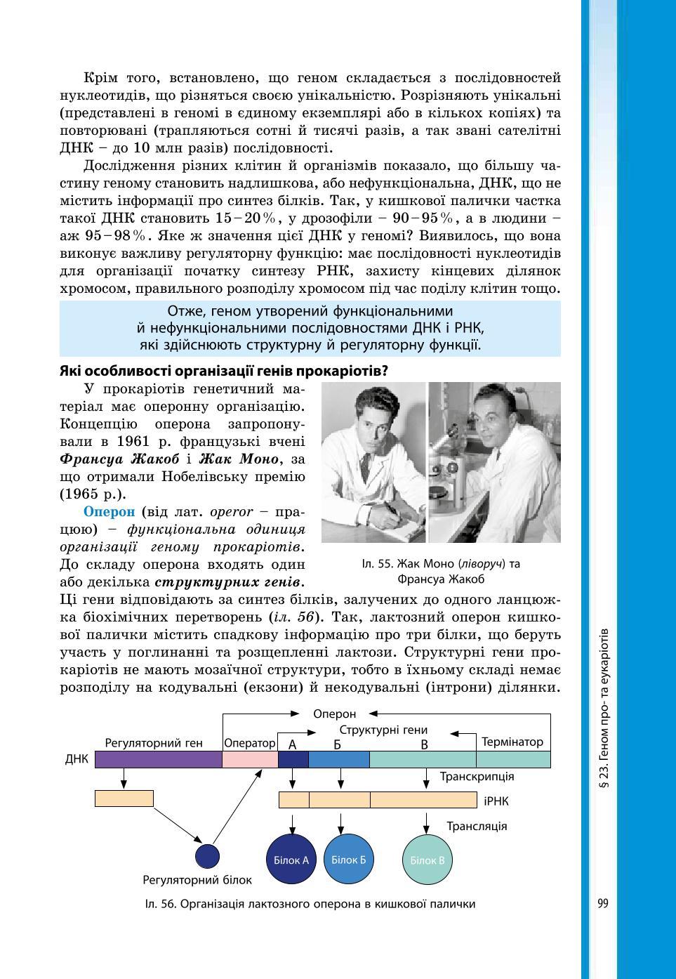 Мініатюра 99