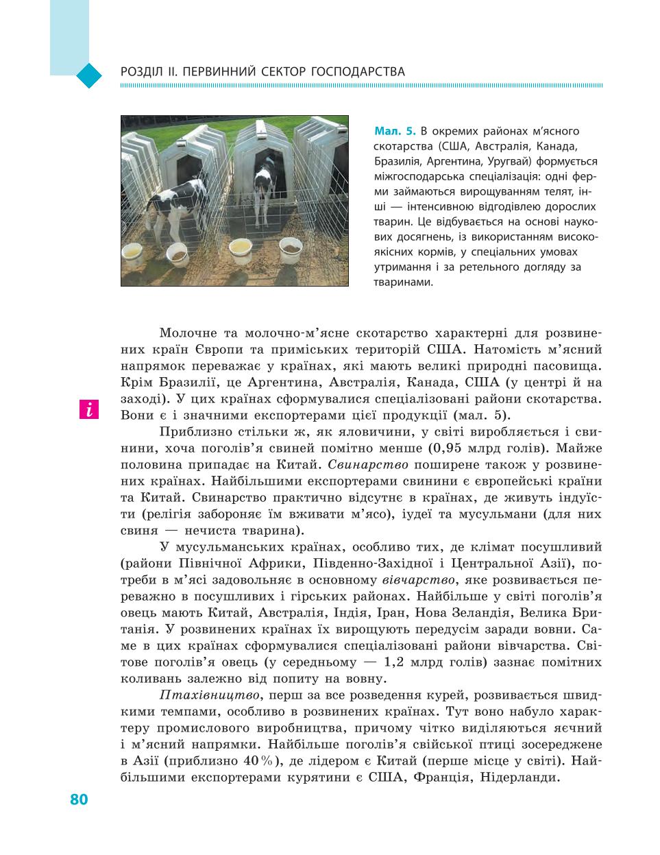 Мініатюра 80