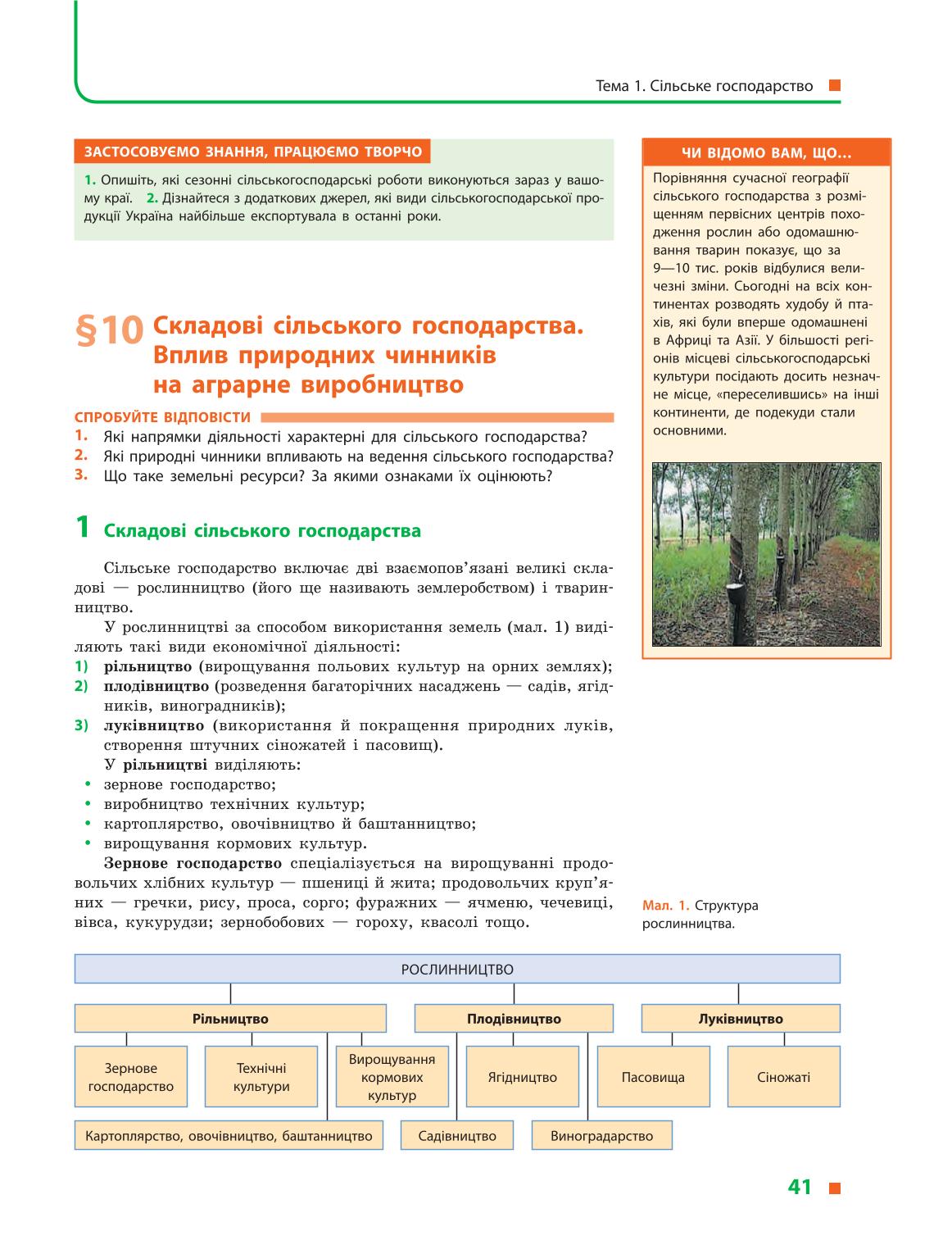 Мініатюра 41