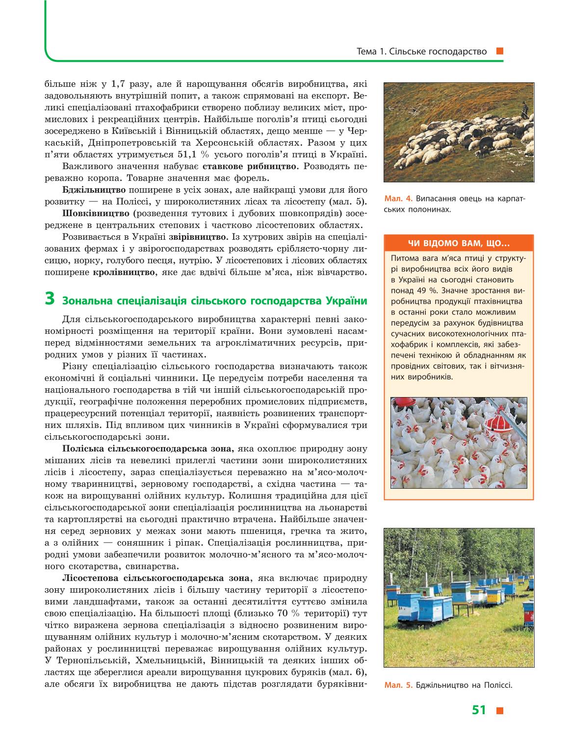 Мініатюра 51
