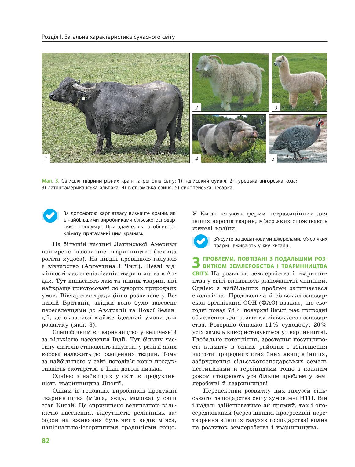 Мініатюра 82