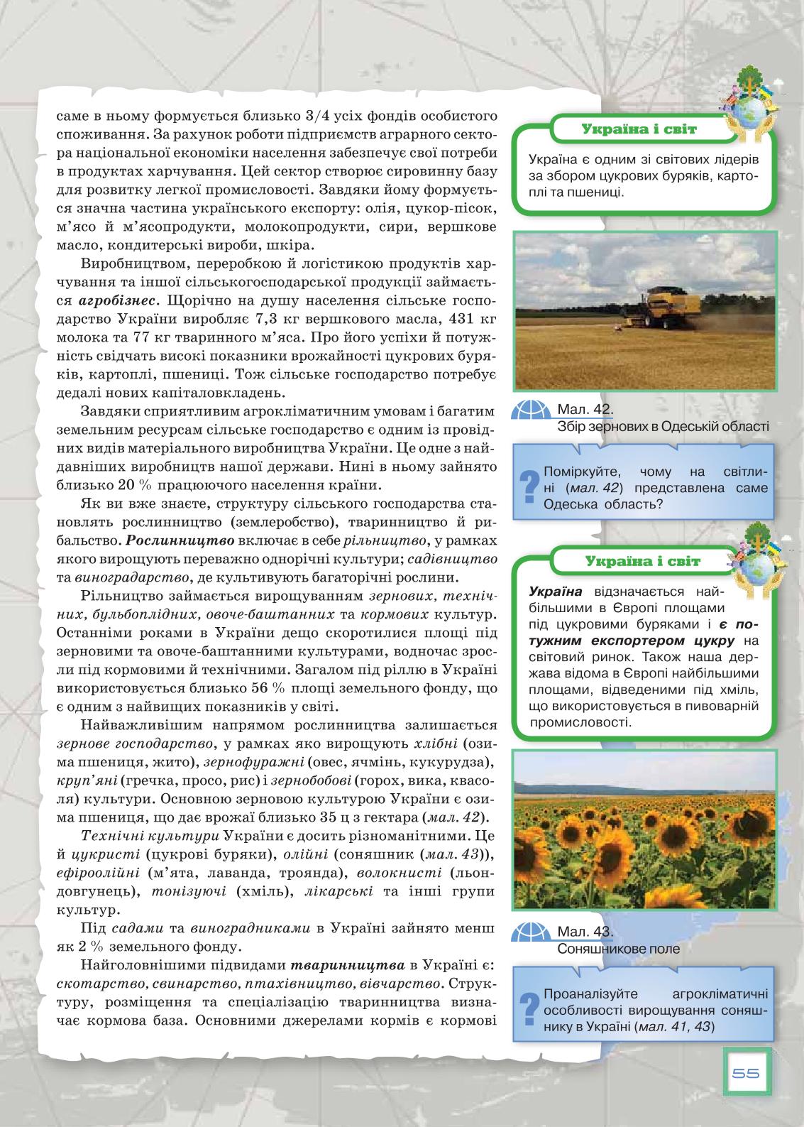 Мініатюра 55