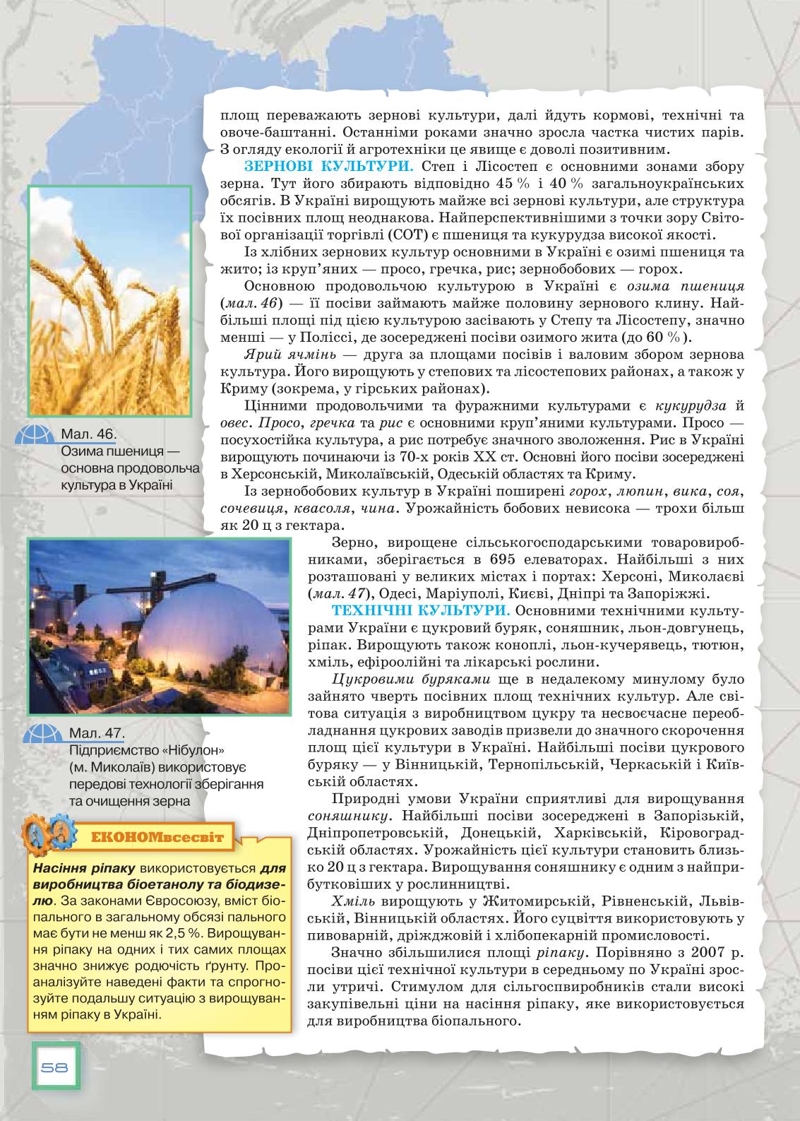 Мініатюра 58