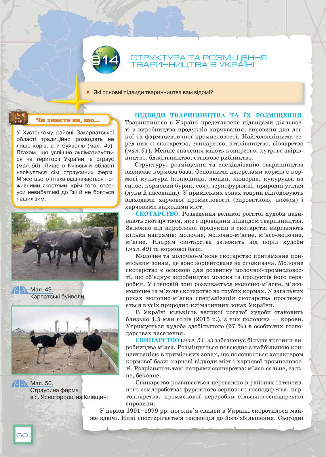 Мініатюра 60