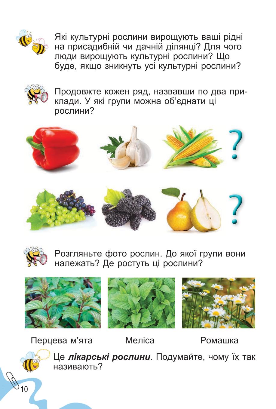 Мініатюра 10