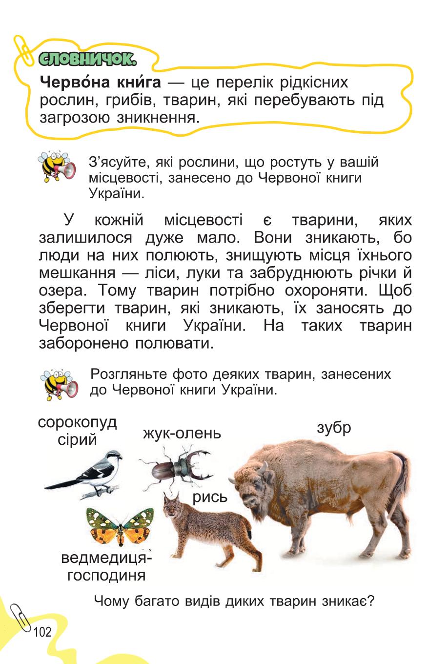 Мініатюра 102