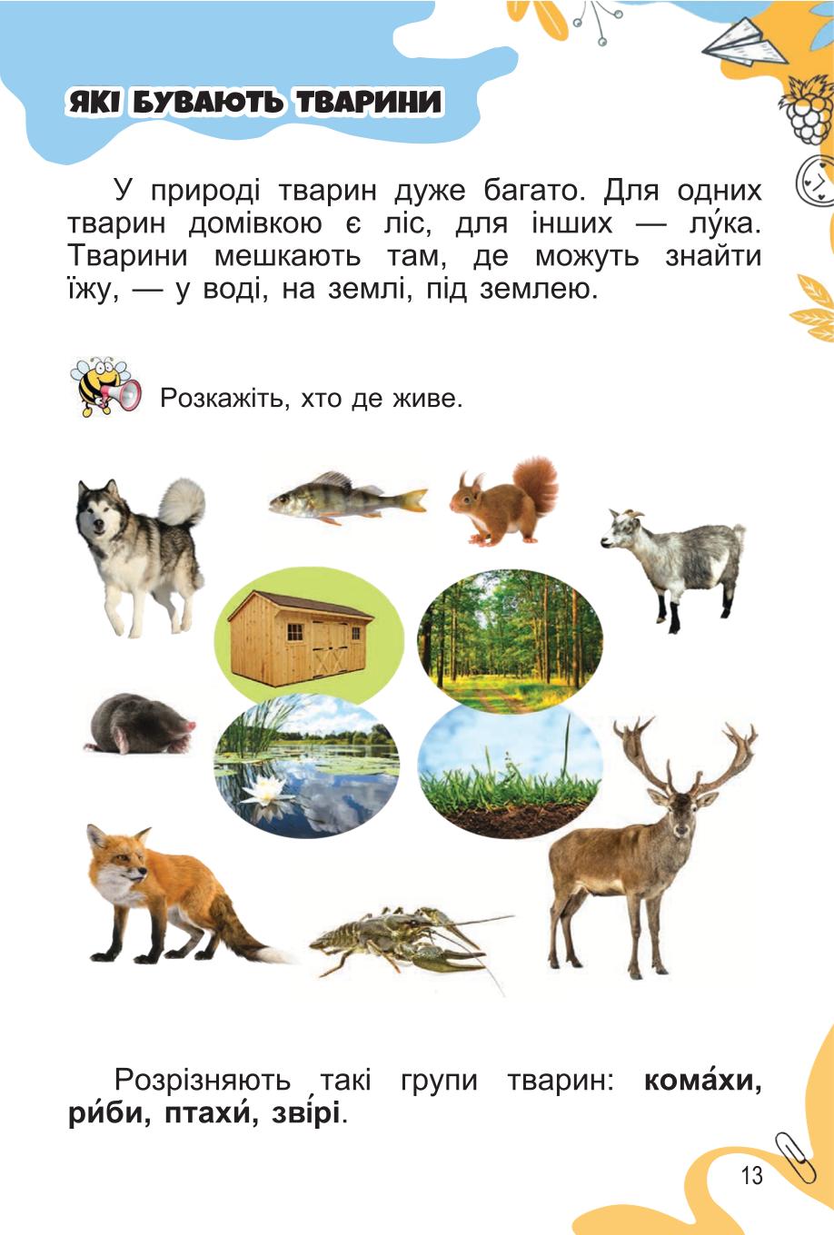 Мініатюра 13