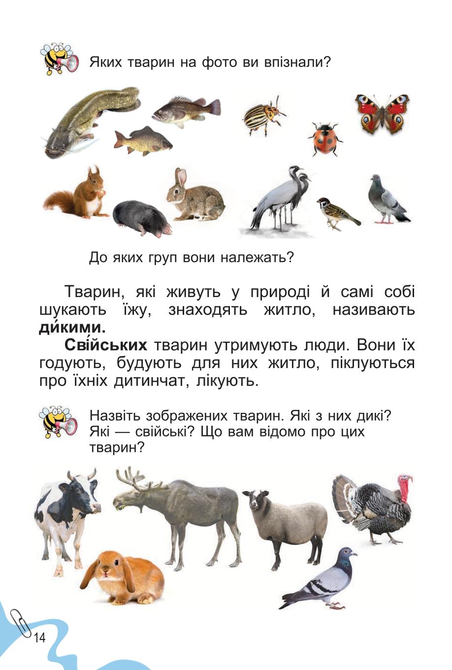 Мініатюра 14