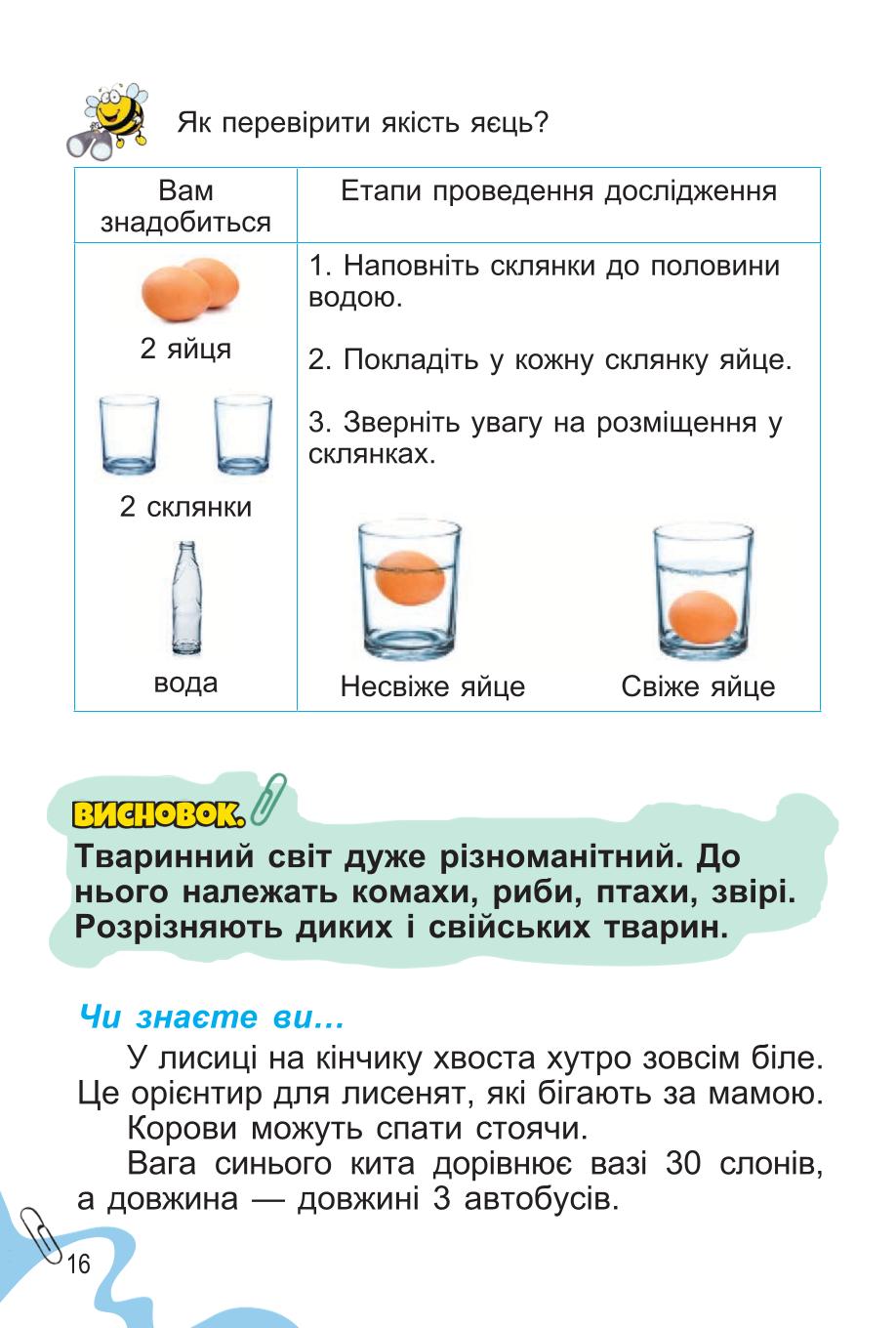 Мініатюра 16