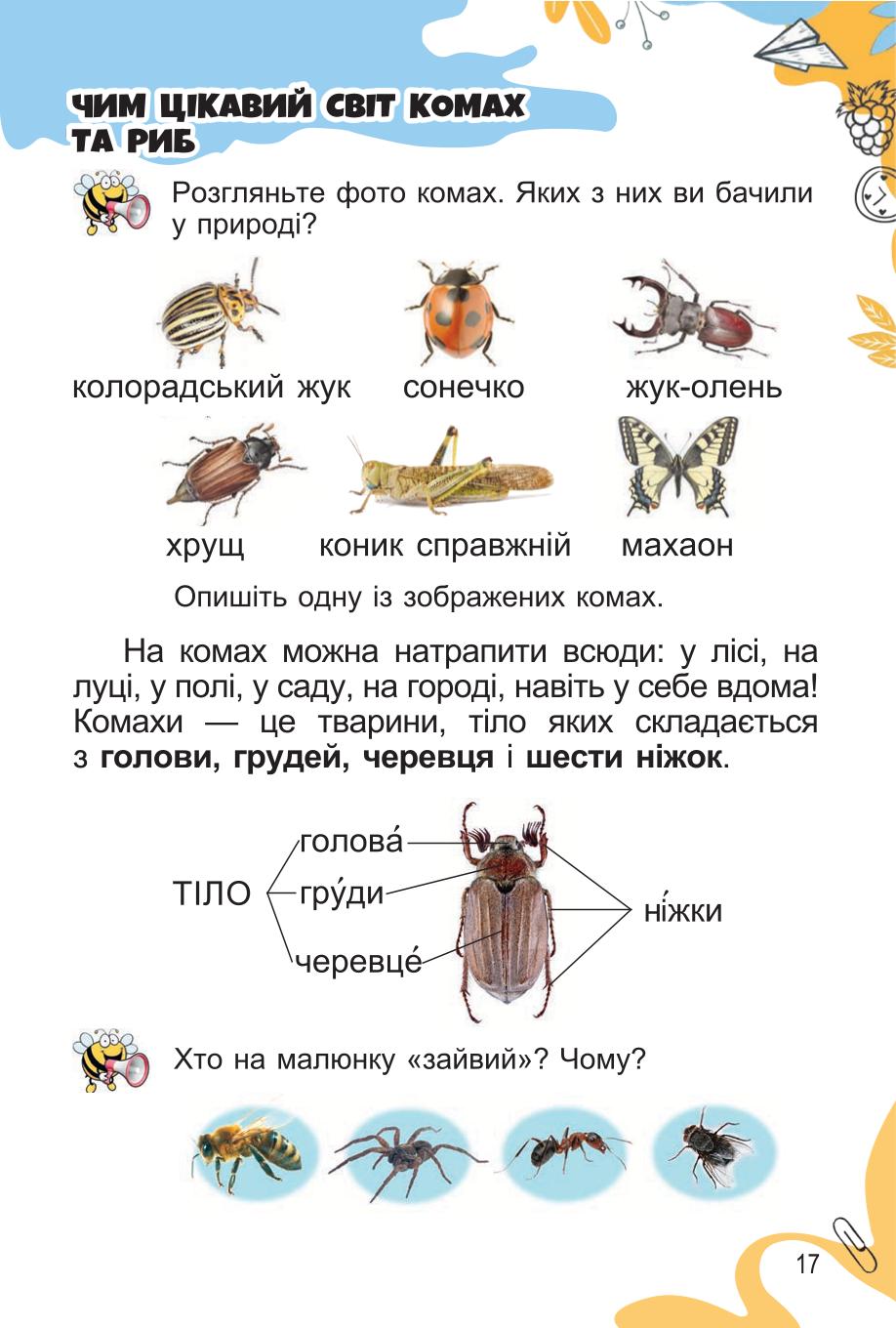 Мініатюра 17