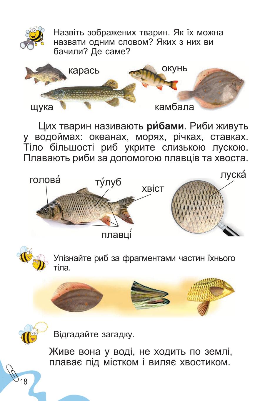 Мініатюра 18