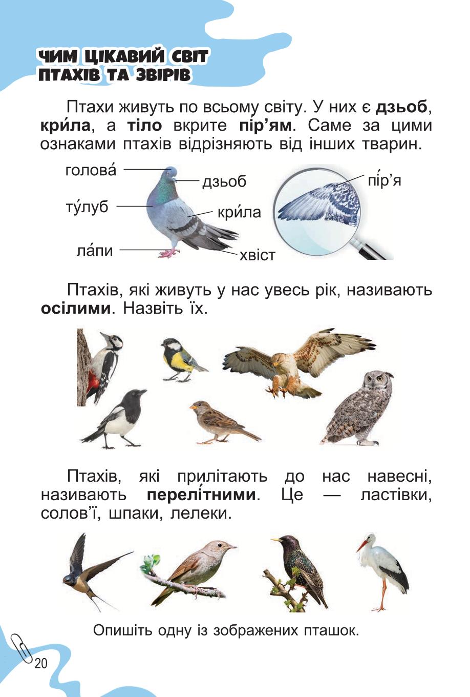 Мініатюра 20