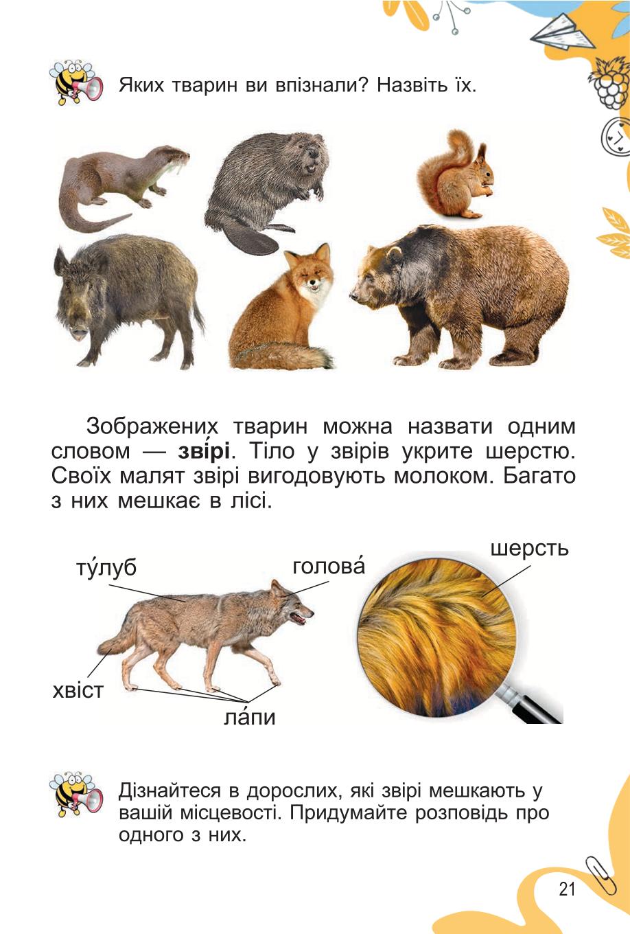 Мініатюра 21
