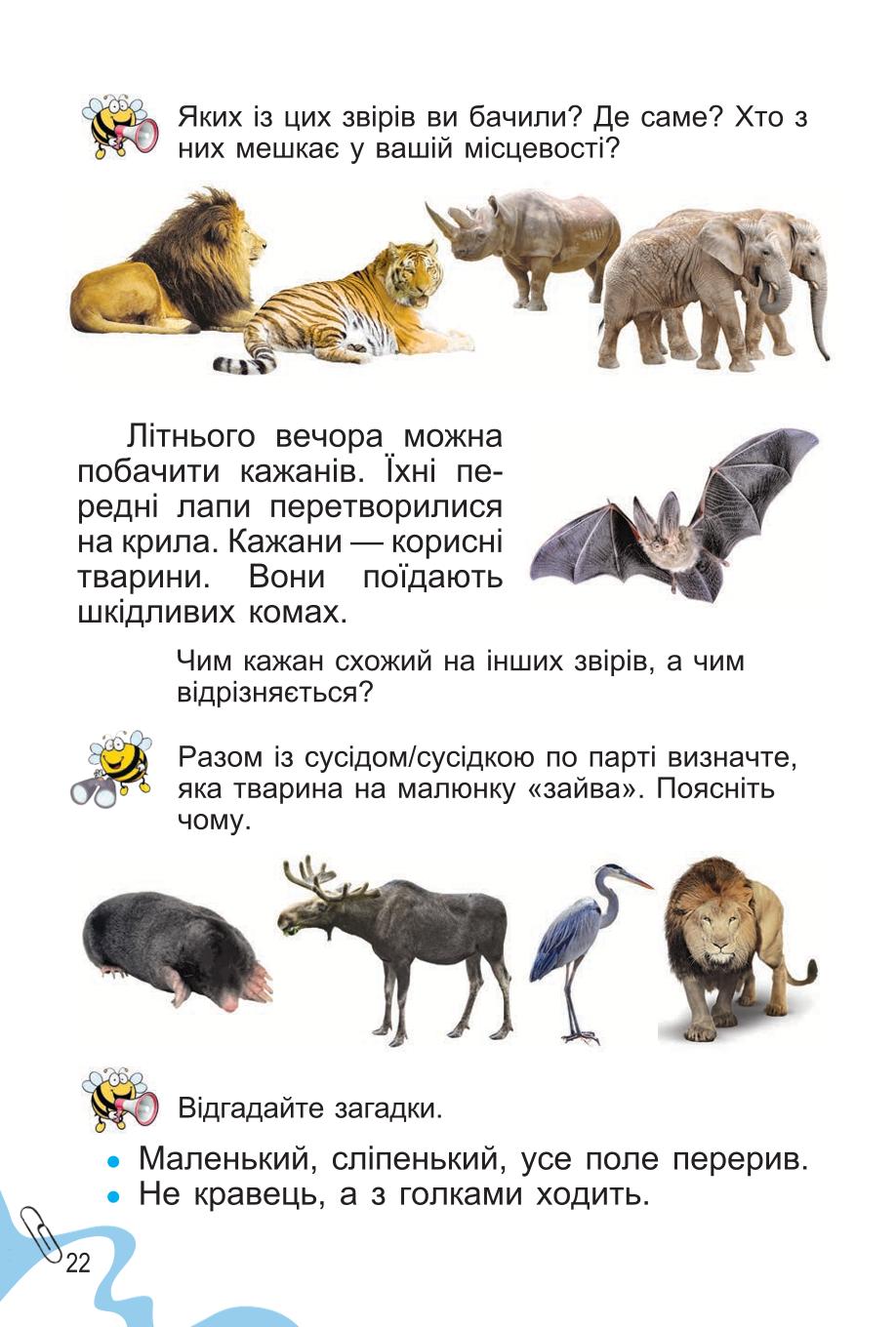 Мініатюра 22