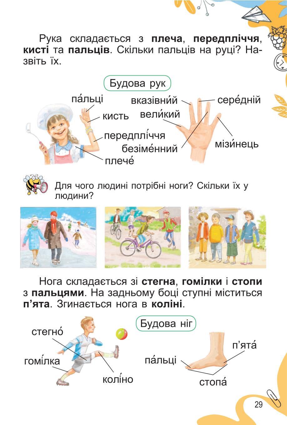 Мініатюра 29