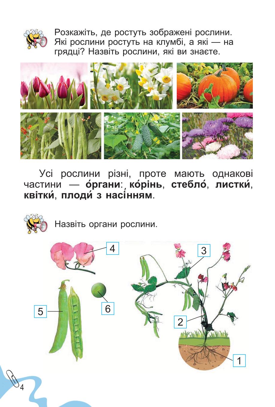 Мініатюра 4