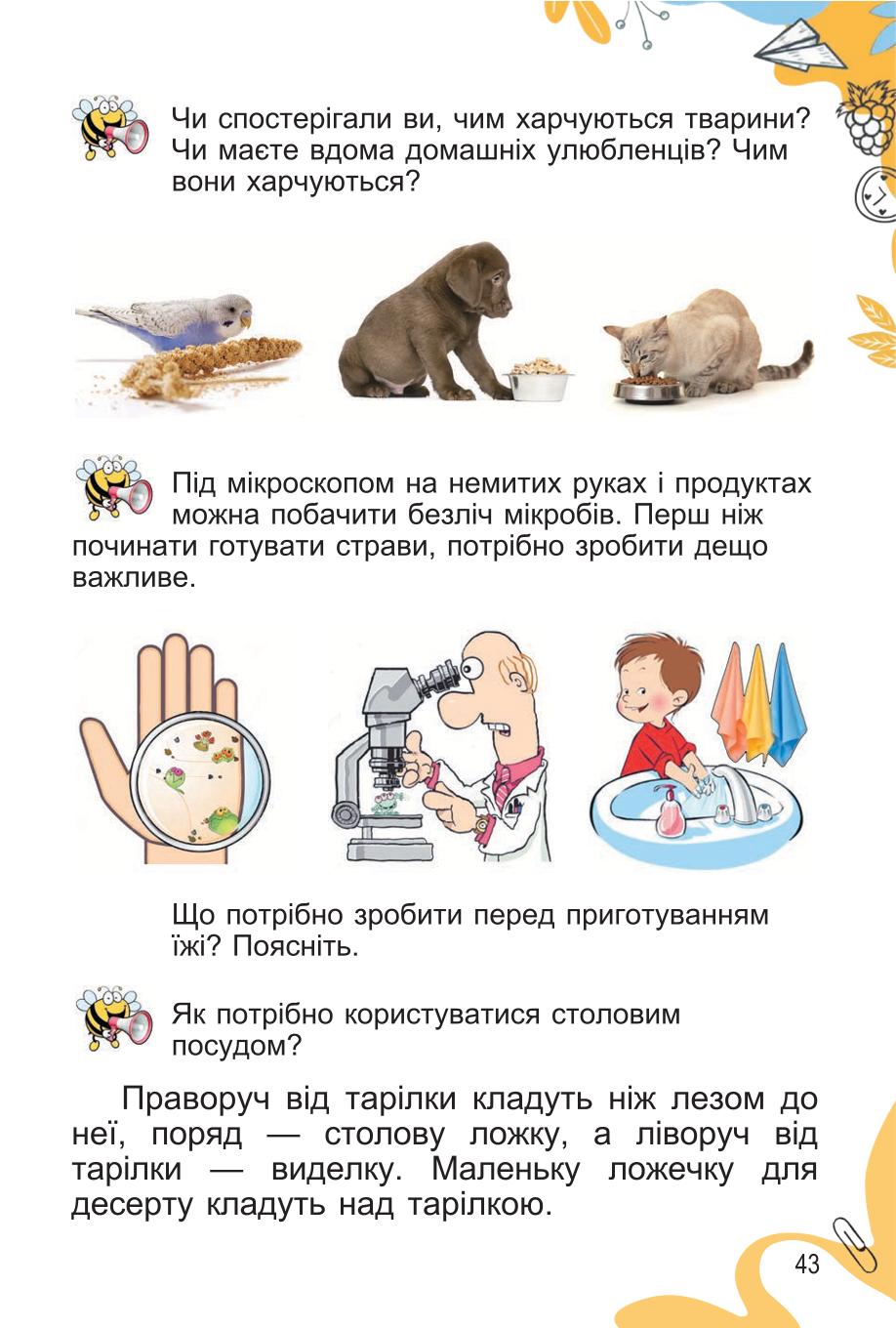 Мініатюра 43
