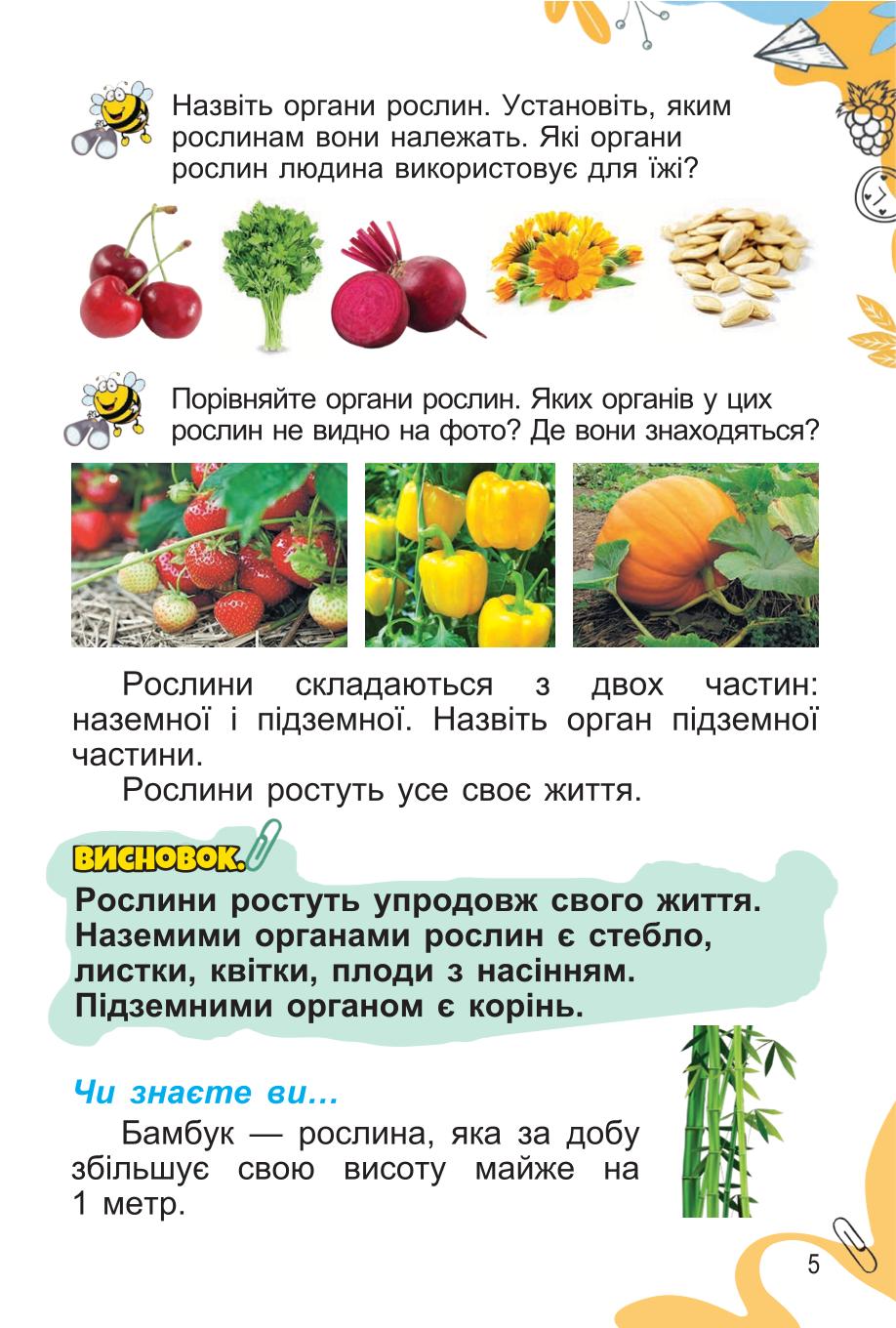 Мініатюра 5