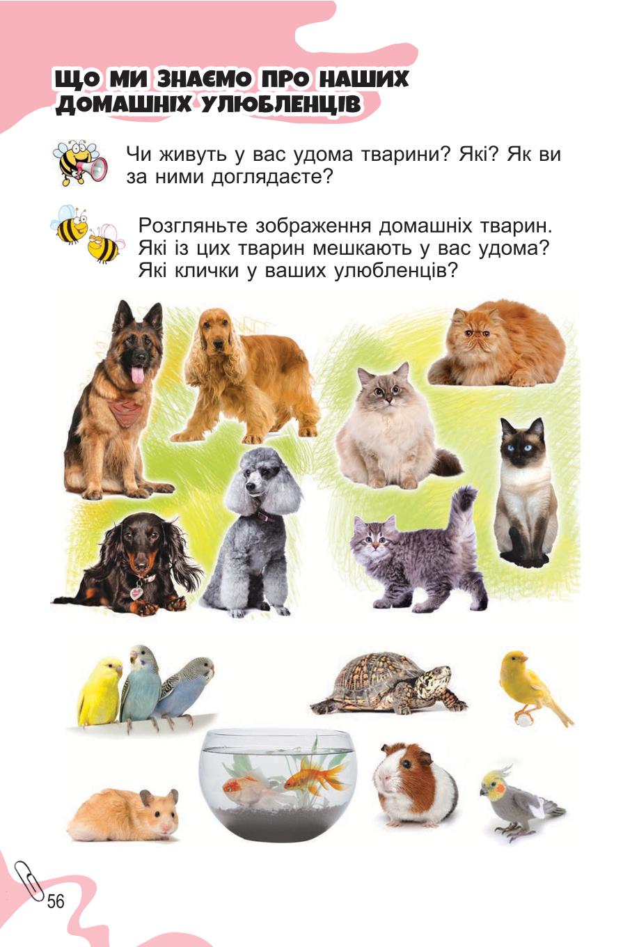 Мініатюра 56