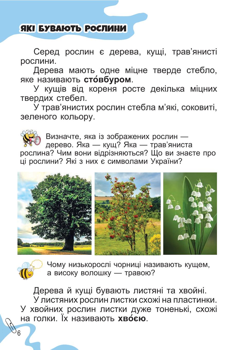 Мініатюра 6