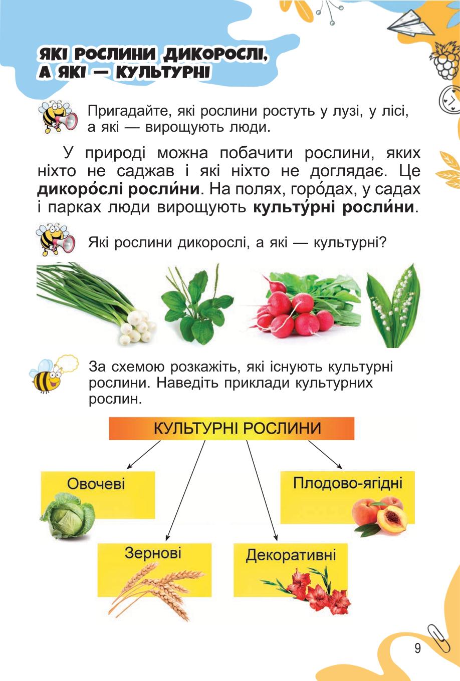 Мініатюра 9