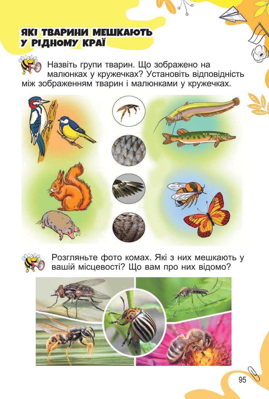 Мініатюра 95
